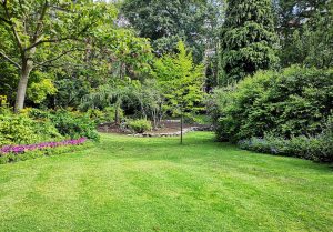 Optimiser l'expérience du jardin à Montigny-l'Allier